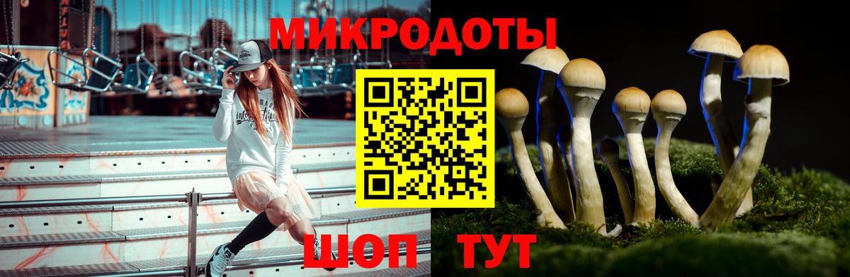 Галлюциногенные грибы Psilocybe  Вход с VPN  Рассказово 